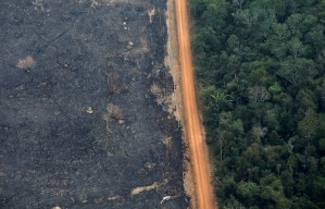 China y Brasil lanzan satélite para monitorear selva amazónica