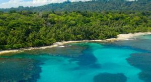 Costa Rica en el top de destinos más buscados en Google para planificar vacaciones