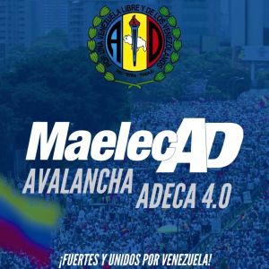 Bernabé Gutiérrez: AD lanza plataforma MAELECAD Digital para el crecimiento y fortalecimiento de sus estructuras
