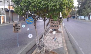 En Apure, los árboles amanecieron con mensajes de protesta (fotos)