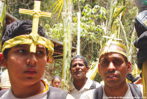 Unesco inicia programa biocultural para salvaguardar la tradición de la “Palma Bendita” (Video)