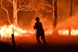 WTF?! Venden consoladores con la forma de Australia para recaudar fondos tras incendios (FOTO)