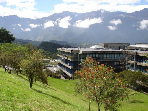 Luego de 5 años la Universidad de los Andes celebra elecciones este 29E de enero