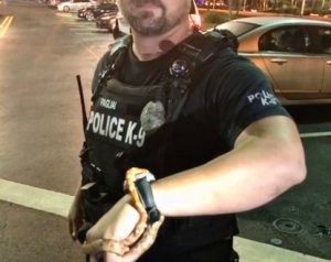 Policía de Pembroke Pines saca serpiente encontrada en un vehículo