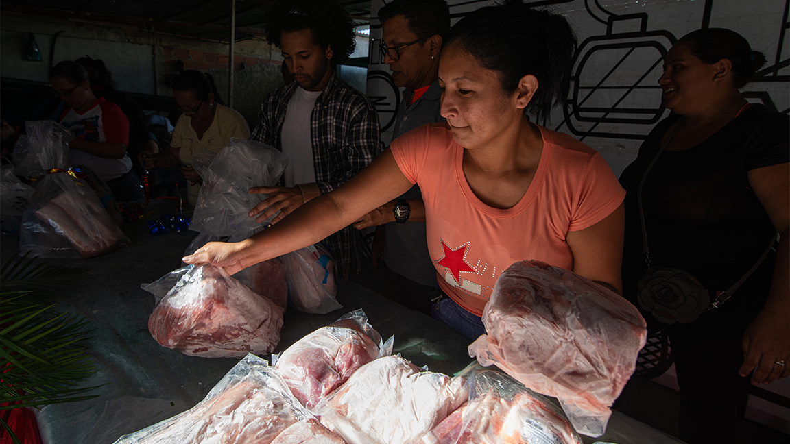Carne de cerdo de Rusia en Venezuela preocupa a veterinarios de Suramérica