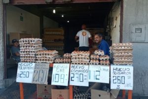 Precio de los huevos sube 252% de diciembre de 2019 a enero de 2020 en Barquisimeto