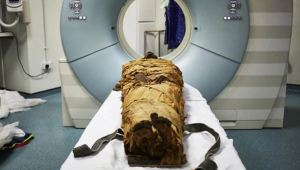 Cómo la ciencia hizo hablar a Nesyamun, una momia egipcia de tres mil años de antigüedad (Video)