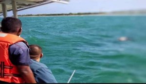 Hallan sin vida a joven ahogado en el mar de Puerto Cabello