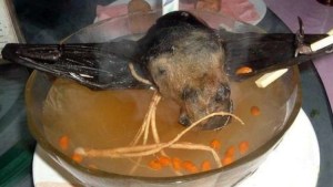 Cómo se prepara la sopa de murciélago a la que relacionan con el brote de coronavirus