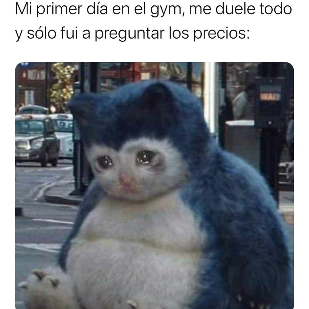 Memes Universidad Nacional on X: 🐨  / X