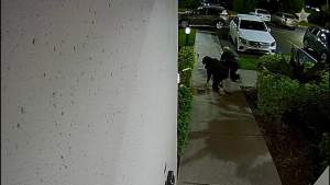 Mujer robada a punta de pistola cerca del hotel en el distrito turístico de Orlando