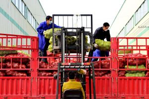 La lucha de los habitantes de Wuhan para conseguir comida