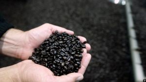 Precio del café supera los dos millones de bolívares por escasez de combustible