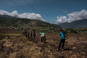 Agricultores venezolanos anuncian quiebra por falta de combustible
