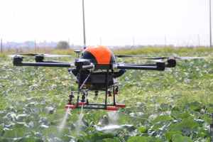 Los drones se emplearán para ayudar al medio ambiente en Florida