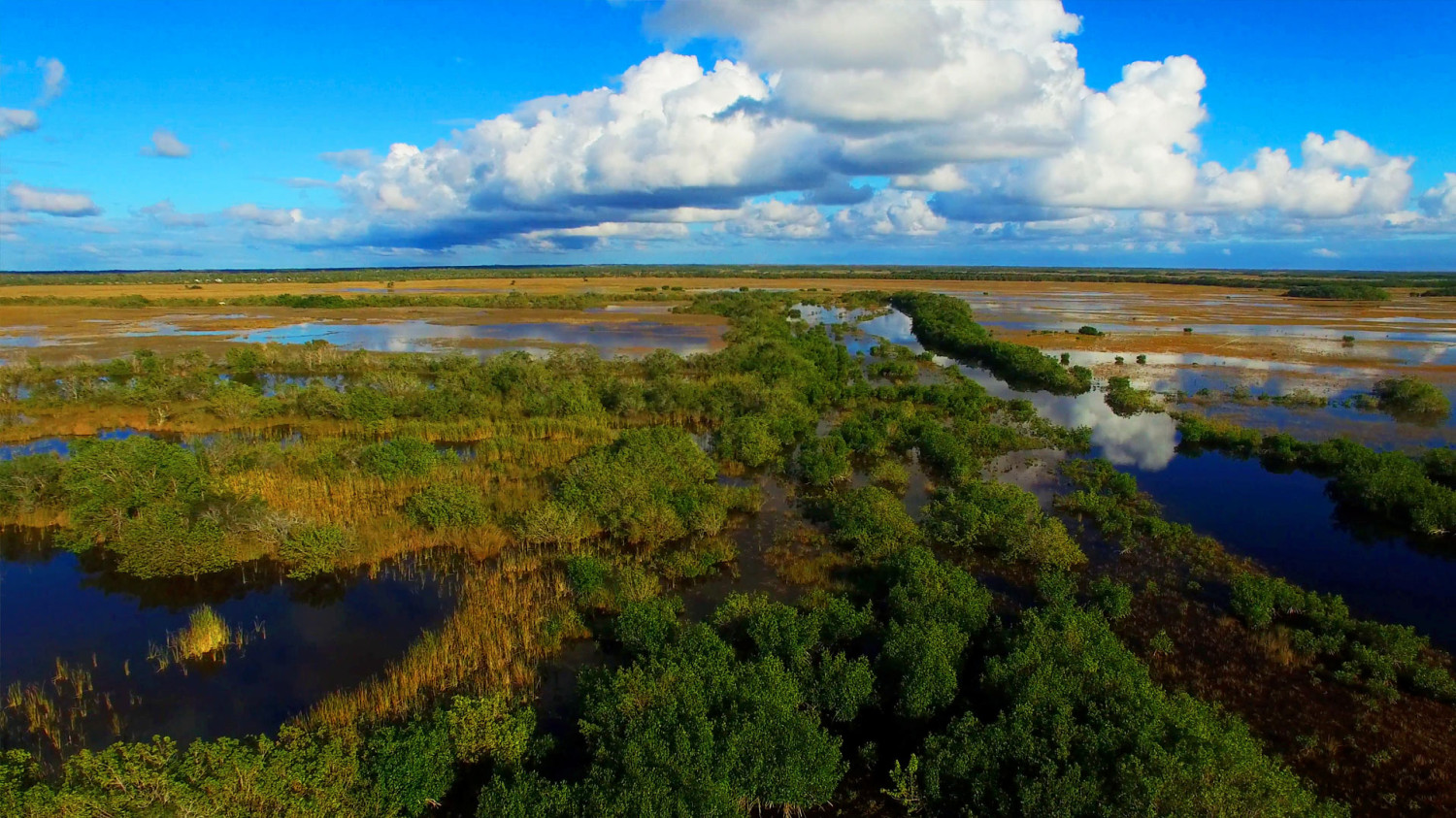 El Distrito de Gestión del Agua en Florida respalda el acuerdo de los Everglades