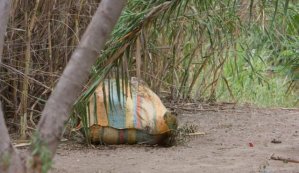 Cerca del puente Francisco de Paula Santander localizaron un cadáver degollado en un saco