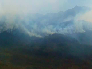 Voraces incendios están destruyendo los páramos andinos (FOTOS)