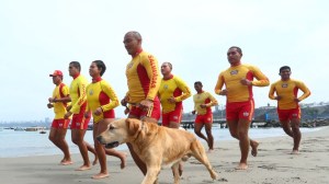 Conoce a los “Baywatch peruanos”, quienes ya han salvado a 120 bañistas