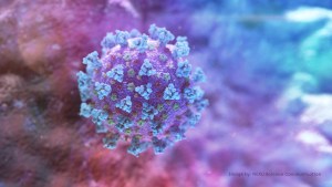 Cinco cosas que todavía se ignoran sobre el coronavirus