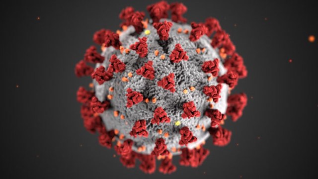 El condado de Broward declara el estado de emergencia luego del cuarto caso de coronavirus