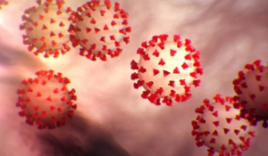 Advierten que la nueva cepa del coronavirus es de tres a nueve veces más infecciosa