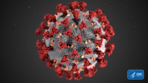 Florida está bajo una emergencia de salud por el coronavirus, ¿qué significa eso?