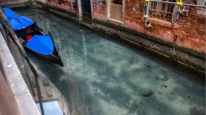 Satélite de la Nasa captó los canales vacíos de Venecia por la cuarentena (FOTO)