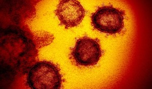 Los números del coronavirus: Cómo se extiende una epidemia y estrategias para mitigarla