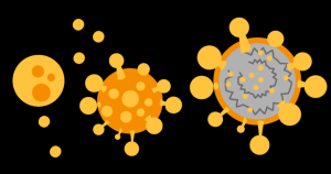 En IMÁGENES: Así es como el coronavirus ataca y secuestra a las células sanas