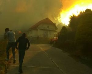 Fuerte incendio forestal encendió la alarma en la Colonia Tovar este #6Mar (Fotos y Videos)