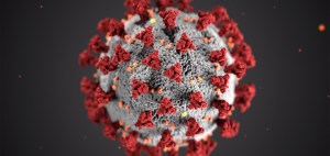Newt Gingrich: El coronavirus no debería mantener a Estados Unidos cerrado durante meses