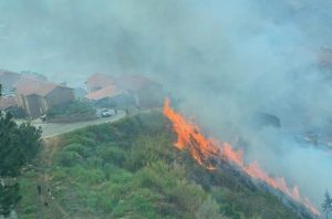 Incendio forestal fue registrado en El Hatillo este #16Abr (FOTOS)