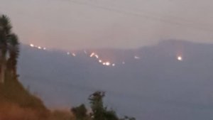 Incendio consume hectáreas de vegetación en la Colonia Tovar #12Abr