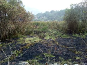 Incendios comprometen biodiversidad de la Laguna de Urao en Mérida
