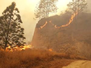 Incendios destruyeron casi tres mil hectáreas de bosques en Guatemala