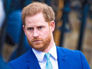 “Soy el hijo de mi madre”: Polémico mensaje del príncipe Harry que opaca a la realeza