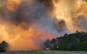 Más de una docena de incendios forestales en toda Florida