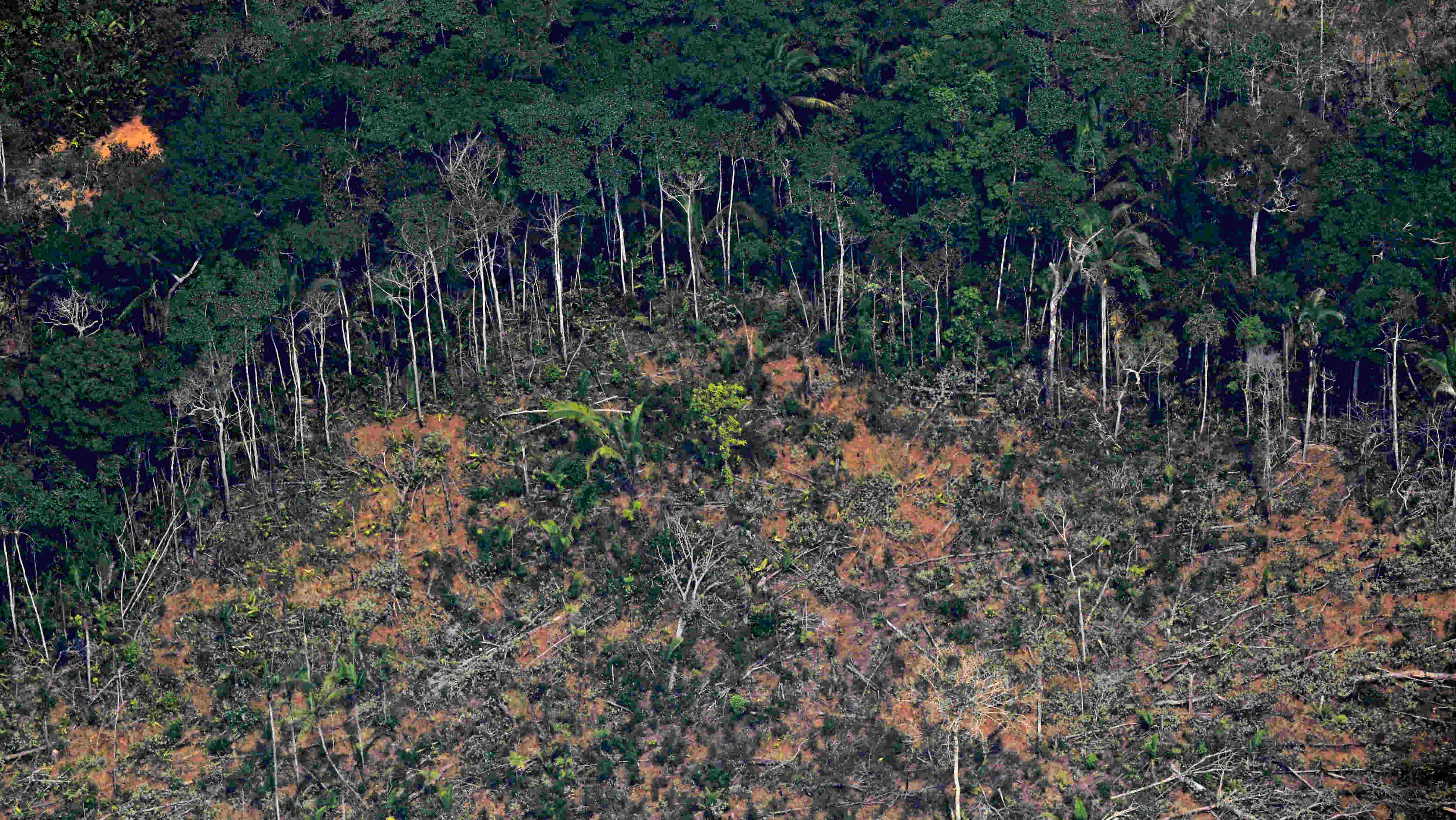 Nuevo récord de deforestación en la Amazonía brasileña