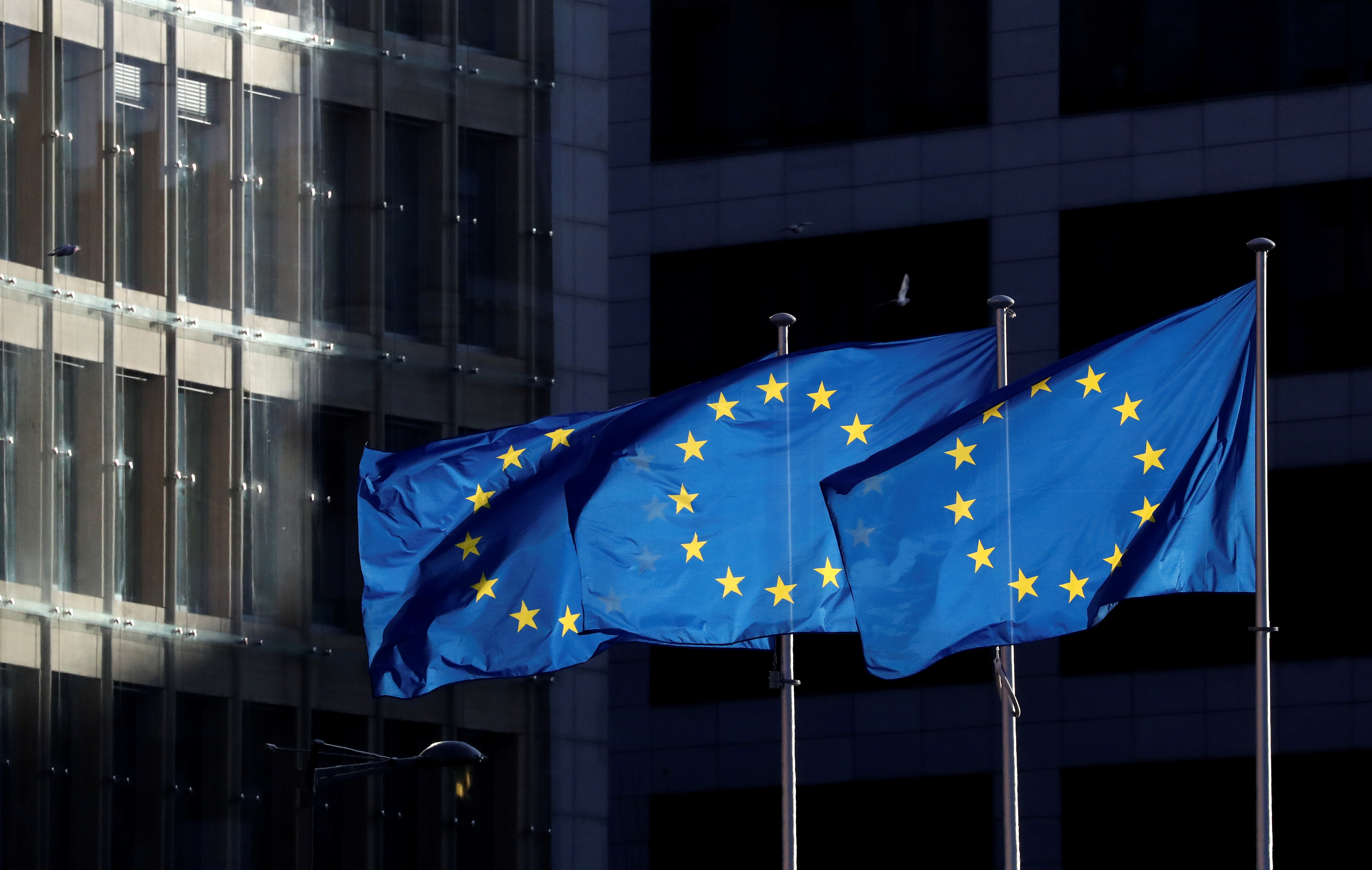 UE destina 1,3 millones de euros para combatir el comercio ilícito de armas