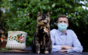 ¡Aaaww! Una gata sobrevivió al coronavirus en París