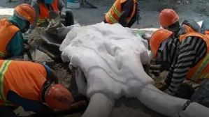 Hallaron restos de al menos 60 mamuts donde se construye aeropuerto de Ciudad de México (Fotos)