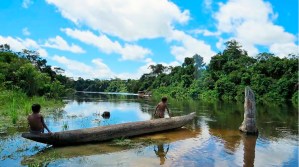 Áreas amazónicas en Brasil se venden ilegalmente en Facebook