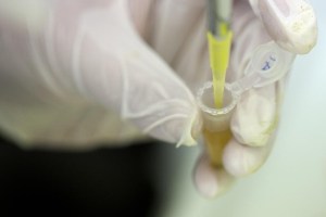 Novavax se dispara tras comunicar ensayo de su vacuna con humanos