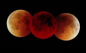El eclipse parcial de Luna del #19Nov será el más largo del siglo: Durará más de tres horas