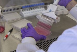 Compañía en California dice haber hallado anticuerpo que bloquea 100% al coronavirus
