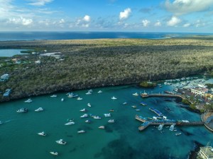 Adaptarse para sobrevivir: Ciencia y turismo tras los pasos de Darwin en Galápagos