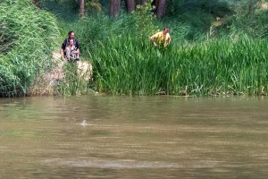 Buscan en un río de España un cocodrilo de 250 kilos