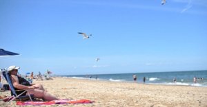 Playas de Delaware cerradas tras posible incidente de mordedura de tiburón