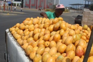 El kilo de mango es lo más barato que hay en Venezuela